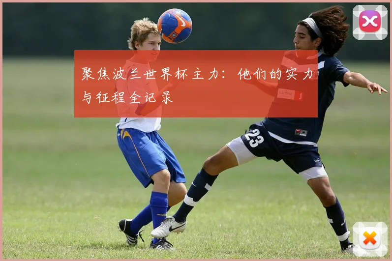 聚焦波兰世界杯主力:他们的实力与征程全记录