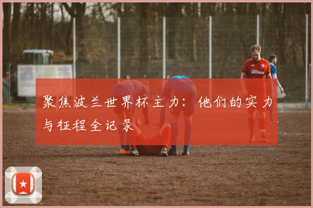 聚焦波兰世界杯主力:他们的实力与征程全记录